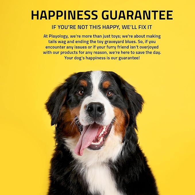 Playology Dog Toys | Plush Squeaky Bone Chew Toy for Dogs | Medium Beef Scented Toy - Easy to Clean and Made from Non Toxic Materials