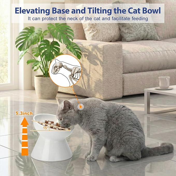 Ceramic Slow Feeder Cat Bowl, Tilted Elevated Cat Slow Feeder Bowl for Dry and Wet Food, Honeycomb Design for Preventing Vomiting & Bloating (White-Honeycomb Style, 5.9 inch)