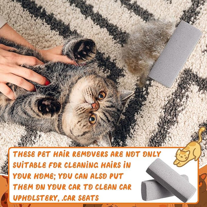 Abbylike 6 Pcs Pet Hair Remover Pumice Stone Reusable Portable Dog Cat Hair Removal Tool Scraper for Carpet,Couch, Bedding, Car Upholstery, Furniture Cleaning (5.3 x 2 x 1.4 Inch,Gray)