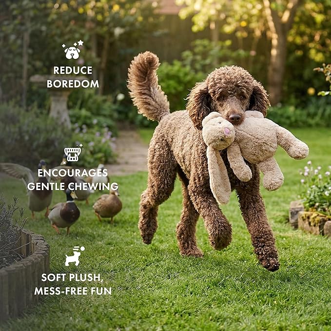 Pet Lou 15-Inch Rabbit Dog Squeak Toys, Durable Plush with Crinkle Interactive Dog Toy, Not for Heavy Aggressive Chewers, Colossal Dog Chew Toys