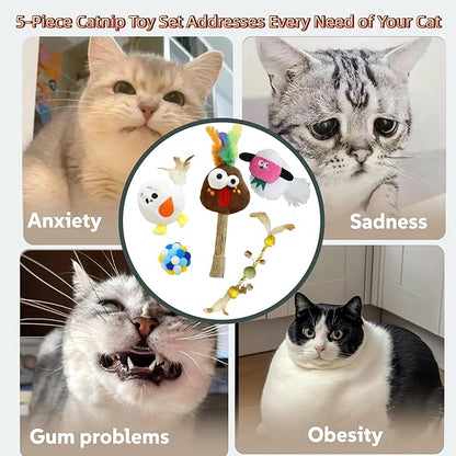 5 Pcs Catnip Toys for Cats, Silvervine Interactive Cat Toy Set with Squeaker & Feathers, Natural Organic Catnip Dental Chew Toys for Kitten Teething, Boredom & Anxiety Relief Plush Set