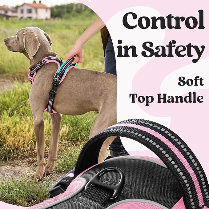 rabbitgoo Dog Harness Medium Sized, No Pull Pet Harness with 3 Buckles, Adjustable Soft Padded Vest with Control Handle, Walking Reflective Pet Vest for Medium Dogs, Black & Pink, M