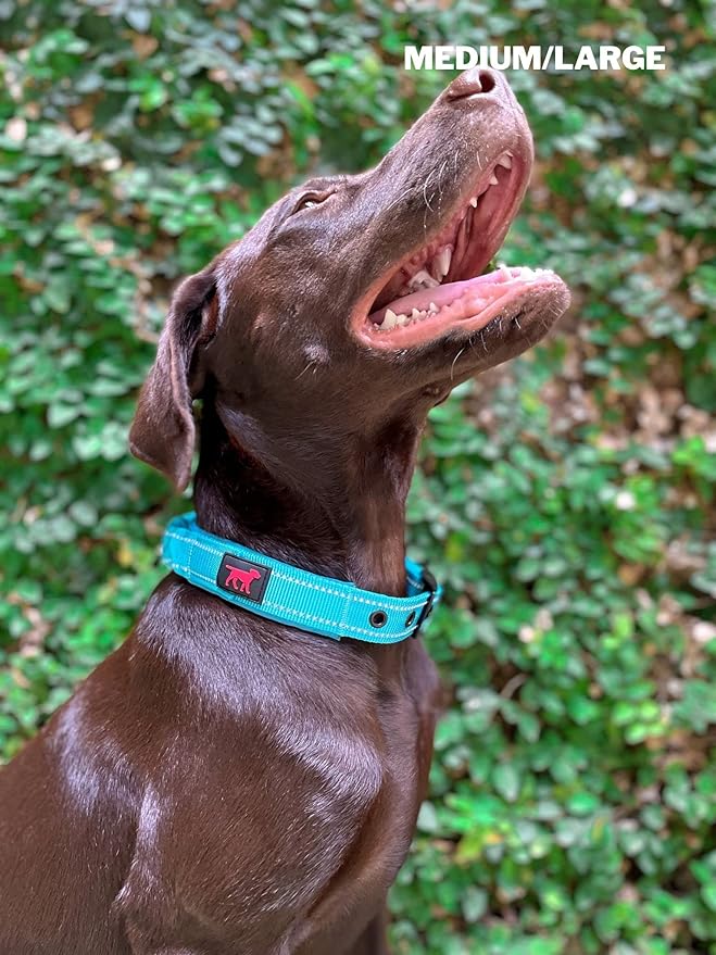 Heavy Duty Dog Collar With Handle | Ballistic Nylon Heavy Duty Collar | Padded Reflective Dog Collar With Adjustable Stainless Steel Hardware | Convenient Sizing for All Breeds