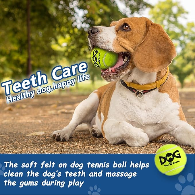 Squeaky Tennis Balls for Dogs, 6 Pack 2.5" Squeaky Dog Balls for Medium Large Breed, SGS Certified Non-Toxic, Interactive Fetch Toys, Perfect for Outdoor & Indoor Play
