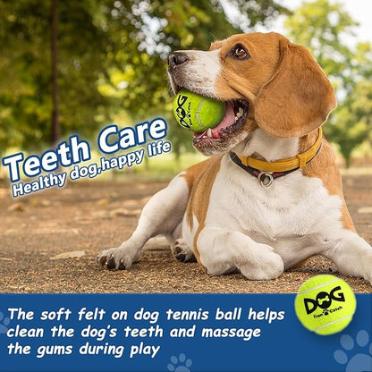 Squeaky Tennis Balls for Dogs, 6 Pack 2.5" Squeaky Dog Balls for Medium Large Breed, SGS Certified Non-Toxic, Interactive Fetch Toys, Perfect for Outdoor & Indoor Play