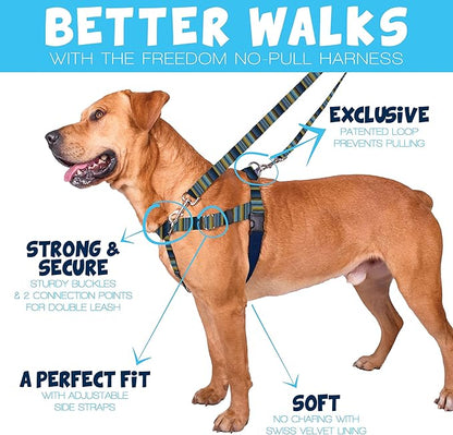 2 Hounds Design - Freedom No-Pull Harness & Training Leash in Blue and Green | Dual Leash Loops, No Pulling on Walks | Lined to Prevent Chaffing | for Large Sized Dogs (Size L, Chest 28”- 32”)
