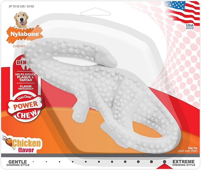 Nylabone Power Chew Dental Dinosaur - Dental Dog Toy for Aggressive Chewers - Large Dog Chew Toys for Teeth Cleaning - Durable Dog Toy for Large Breeds - Chicken Flavor, Large, Up to 50 Ibs. (1 Count)