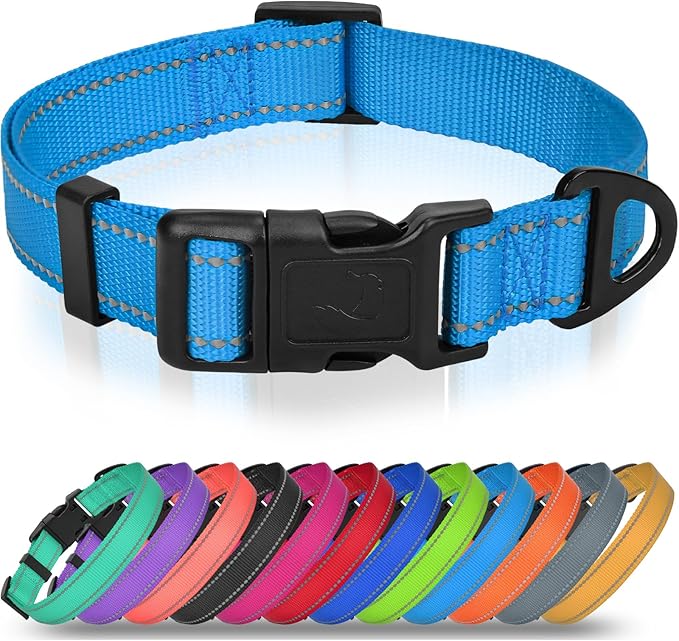 Joytale Dog Collars for Medium Dogs, Comfortable Double-Sided Reflective Nylon Collar for Night Safety, Adjustable Quick-Release for Active Pets, Sky Blue, M (1" Width)