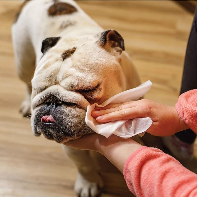 110 Pack Pet Grooming Wipes - Large & Extra-Large Sizes - Lavender, Aloe, & Unscented Variations - Hypoallergenic & Extra Durable - Perfect for Dogs & Cats, 6"x8"