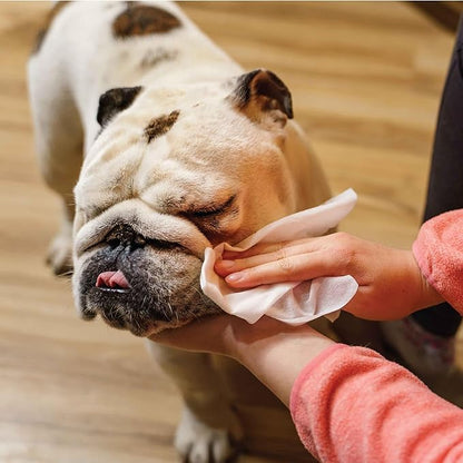 110 Pack Pet Grooming Wipes - Large & Extra-Large Sizes - Lavender, Aloe, & Unscented Variations - Hypoallergenic & Extra Durable - Perfect for Dogs & Cats, 6"x8"