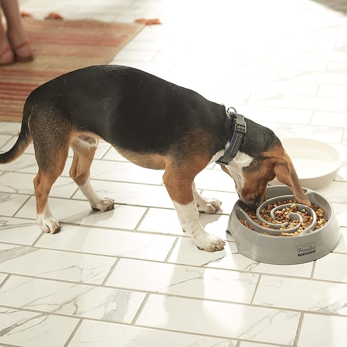 Franklin Pet Supply Co. Slow Feed Tornado Bowl - Dog + Puppy Bowl for Small, Medium + Large Breeds - Food + Water