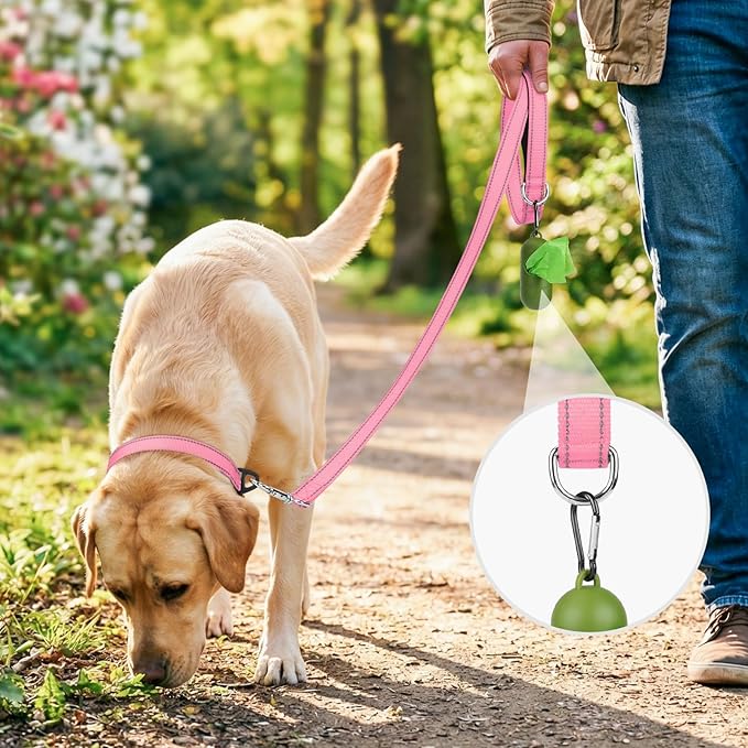 Joytale Dog Leash, 6 FT Double-Sided Reflective, Padded Handle Nylon Heavy Duty Leashes for Medium & Large Dogs Walking, Pink