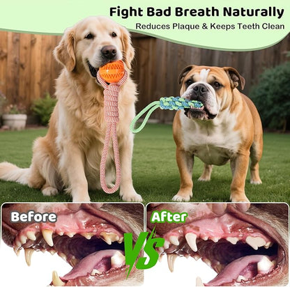 Bungee Tether Tug Outdoor Dog Toy for Dogs, Tug of War Toy with Stake, 2 Puzzle Balls, Cotton Stick Toys, Outdoor Interactive Dog Toys for Lawns, Tug of War Dog Toy for Multi-Pet Households, Orange