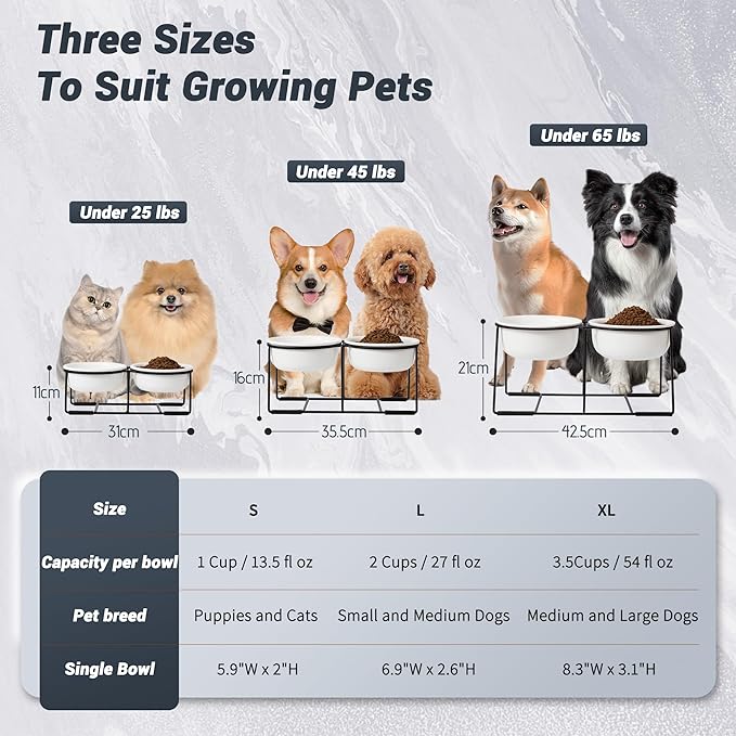 Ceramic Elevated Dog Bowl Set - Raised Food and Water Bowls with Metal Stand - Double Pet Dishes for Small and Medium Dogs - 2 Cups - 27 fl oz - Matte Whit