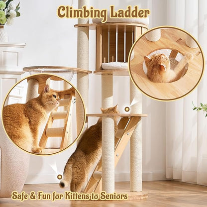Modern Cat Tree Tower with Scratching Post, 61.5in Tall Cat Tree for Indoor Cats, Multi-Level Solid Wood Cat Furniture with Ladder, Cozy Cat Beds, Cat Condo, Capsule Nest, Dangling Toy, Natural