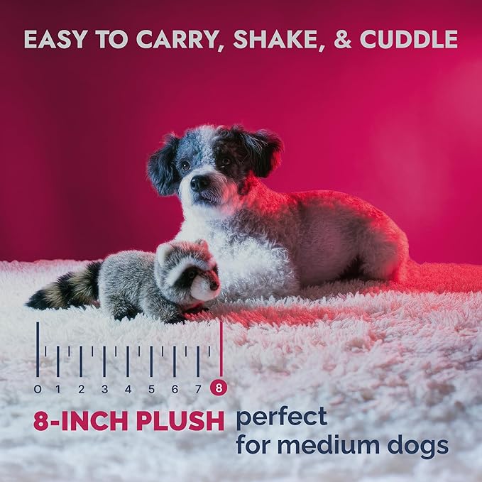 Pet Lou Raccoon Plush Dog Chew Ultra-Thick Toy, Durable Interactive Plush Toy for Medium Dogs, Anti Boredom Dog Squeaky Teething Toys, 8-Inch