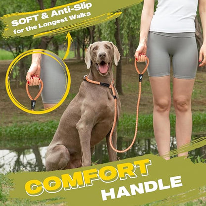 Fida Durable Slip Lead Dog Leash, 6 FT x 3/8" Heavy Duty Dog Loop Leash, Comfortable Strong Rope Slip Leash for Small Dogs and Puppies, No Pull Pet Training Leash with Highly Reflective (3/8", Orange)