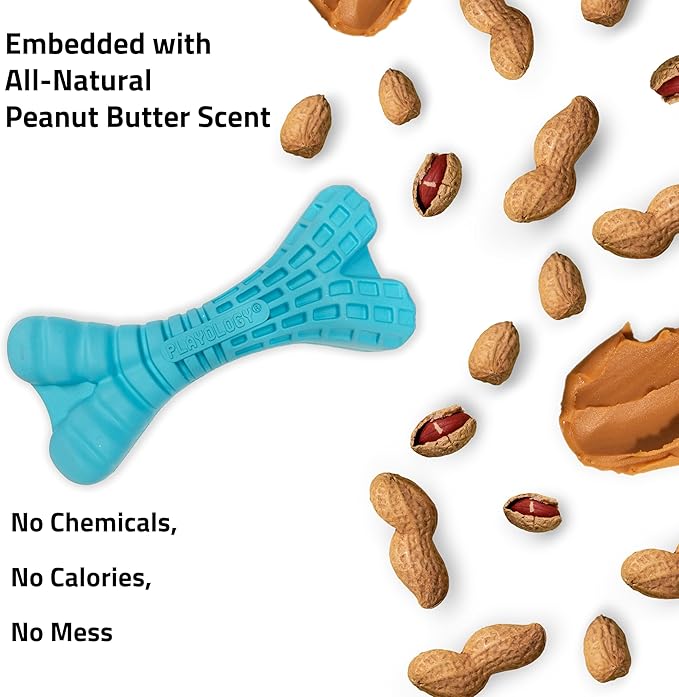 Playology Dog Toys | Dental Chew Bone Gentle on Gums | Jumbo Peanut Butter Scented Toy - Easy to Clean and Made from Non Toxic Materials