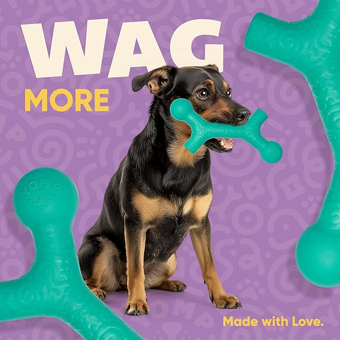 Yomp BallBone MAX: All-Natural Rubber Dog Toy, Nontoxic, Safe for Pet Play, Teal Color, Dishwasher and Freezer Safe for Teething Relief and Easy Clean up