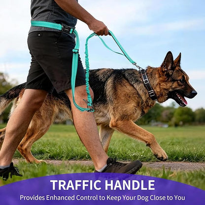 Kazazoo Hands-Free Dog Leash with 5.5-8.5FT Adjustable Length - Heavy Duty No Pull Bungee Design, Reflective Safety for Walking, Jogging & Training | Suitable for Medium to Large Dogs,M size-Green-New
