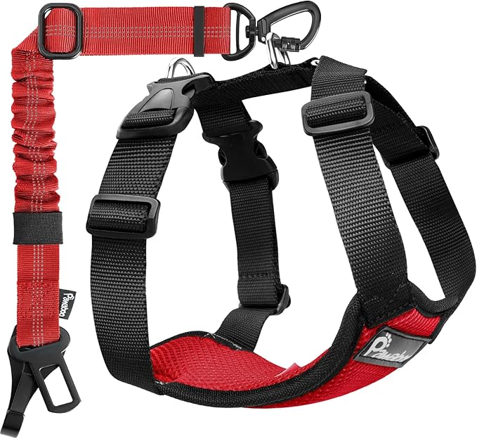 Pawaboo Dog Seat Belt Harness for Car, Dog Car Harness Seatbelt with Double Clips, Adjustable Breathable Pet Vest & Dogs Safety Tether with Elastic Bungee for Small Medium Large Pet, S, Red+Black