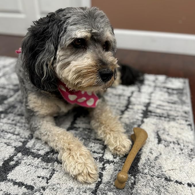 SPOT Bam-Bones Bone - Made with Strong Bamboo Fiber, Durable Long Lasting Dog Chew for Light to Moderate Chewers, Great Toy for Adult Dogs & Teething Puppies under 40lbs, 7.25in, Chicken Flavor
