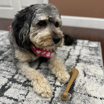 SPOT Bam-Bones Bone - Made with Strong Bamboo Fiber, Durable Long Lasting Dog Chew for Light to Moderate Chewers, Great Toy for Adult Dogs & Teething Puppies under 40lbs, 7.25in, Chicken Flavor