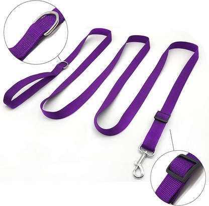 TAIAN Adjustable Nylon Dog Leash, 10 Foot Long Dog Leashes for Medium Large Dogs