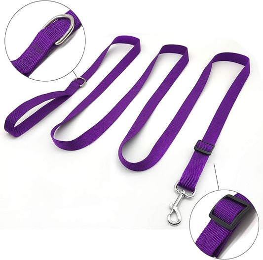 TAIAN Adjustable Nylon Dog Leash, 10 Foot Long Dog Leashes for Medium Large Dogs