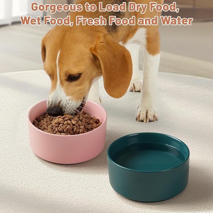Dog Bowls, Non Slip Ceramic Dog Food and Water Bowl with Silicone Base, Heavy Pet Feeding Bowl for Puppies, Small and Medium Dogs (Pink, 6 Inches)