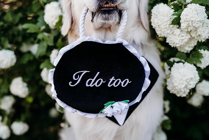 ZippyPaws Wedding Toy - Dog Squeaky Toy to Keep Them Busy, Cute Plush for Small, Medium, & Large Dogs, Stuffed Puppy Toy, Pet Products, Gift for All Breeds, 2 Round Squeakers - "I Do Too" Wedding Sign