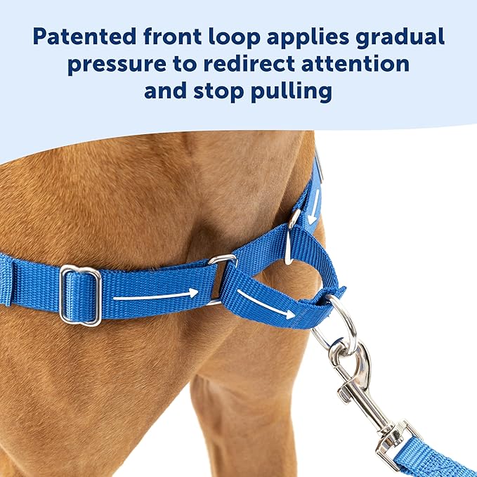PetSafe Easy Walk Harness for Dogs - Pull-Free Walks - Patented Martingale Loop Design - Front Chest Leash Attachment - Comfort Straps - Breathable Harness Design - Small/Medium, Black/Silver
