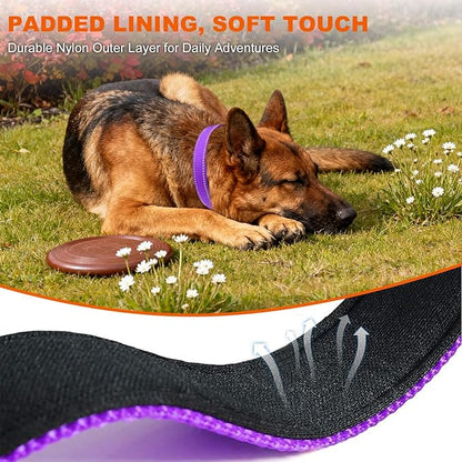Taglory Reflective Dog Collar with Safety Locking Buckle, Soft Neoprene Padded Dog Collar for Large Dogs, Metal D-Ring, Adjustable Nylon Neck Strap for Daily Walking, Training & Running, Purple, L