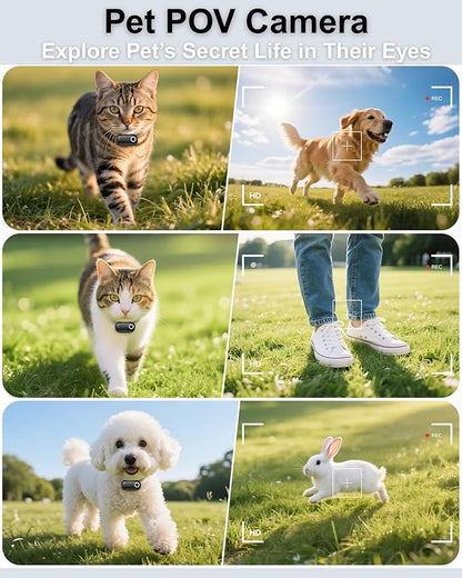 Cat Camera Collar with Tracker Tag, 1080P HD Video Recording, Check Video on Phone APP, XS-Size Pet POV Cam for Cats & Small Dogs, Mini Body Cameras for Pets（No SD Card Included
