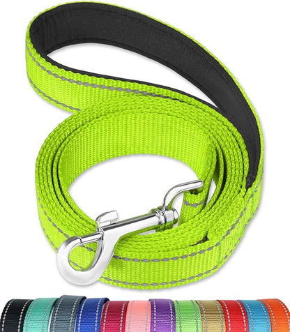 FunTags 4FT Reflective Dog Leash with Soft Padded Handle for Training,Walking Lead for Medium & Small Dogs,3/4 Inch Wide,Green