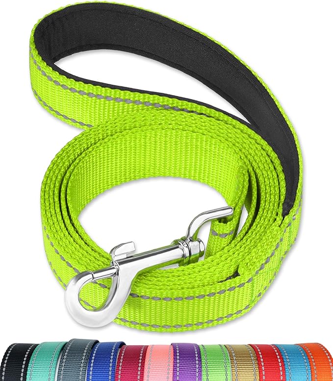 FunTags 4FT Reflective Dog Leash with Soft Padded Handle for Training,Walking Lead for Large & Medium Dog,1 Inch Wide,Green