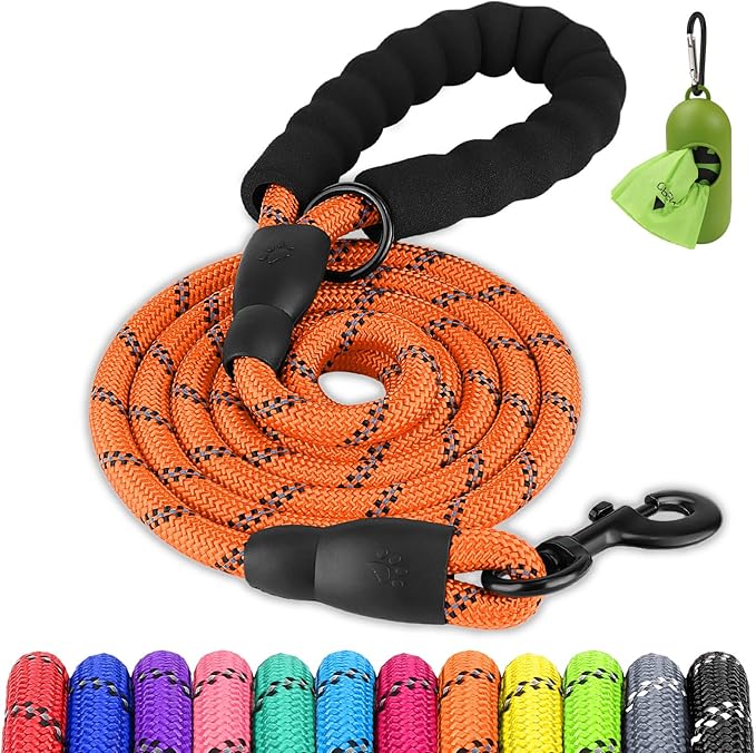 Joytale Dog Leash for Small Dogs, Heavy Duty Nylon Leashes with Comfortable Padded Handle and Highly Reflective Threads, Ideal for Walking and Training, Orange, 6'×3/8''