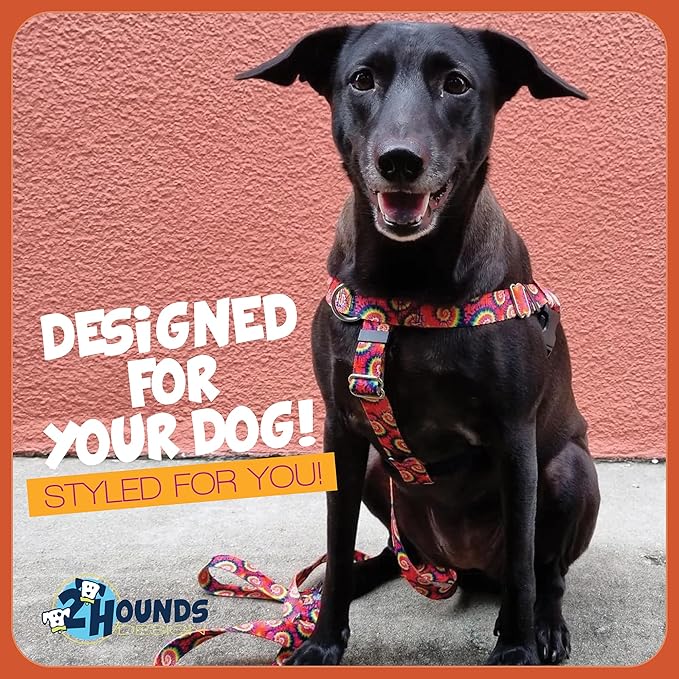 2 Hounds Design - Freedom No-Pull Harness & Training Leash in Tie-Dye | Dual Leash Loops, No Pulling on Walks | Lined to Prevent Chaffing | for Large Sized Dogs (Size M, Chest 24”- 28”)
