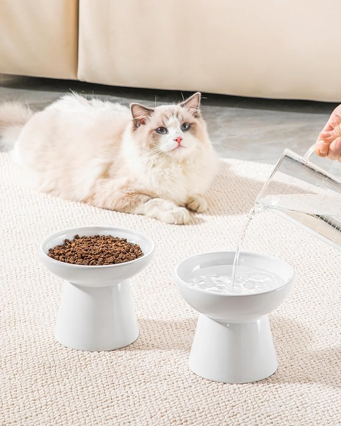 vancasso Elevated Cat Bowls 2-Pack, Ceramic Raised Cat Food and Water Dishes with 5.1" Height & 6.2" Wide Opening - Anti Vomit, Whisker Fatigue Relief for Senior Cats, and Small Dogs (White)