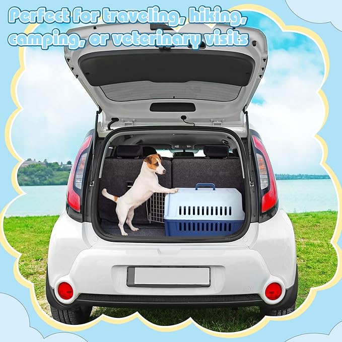 2 Sets 19" Travel Pet Carrier for Small Dogs and Cats Hard-Sided Plastic Dog Crate Cat Kennel with Wire Door, Ventilation and Security Lock Portable Pet Carrier for Car Airline Travel, Up to 13lbs