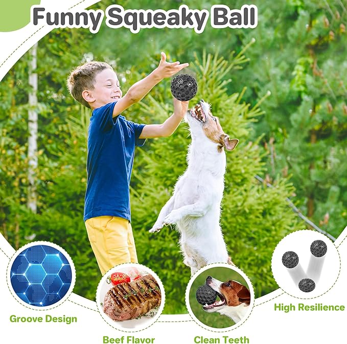 Indestructible Squeaky Dog Balls Puppy Toys, Interactive Dog Toys for Small Dogs, Puppy Chew Toys for Teething and Relax, Dogs Chew Toy Balls Small Toys for Small Breed
