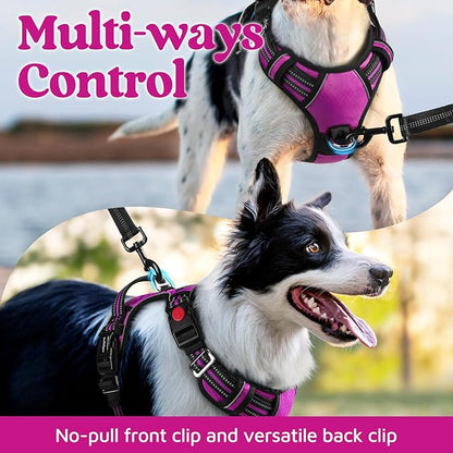 rabbitgoo Dog Harness Small Sized, No Pull Dog Vest with 3 Buckles, Adjustable Soft Padded Pet Harness with Easy Control Handle and Reflective Strips, Purple, S