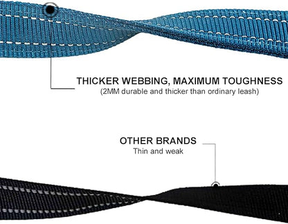 Heavy Duty 2 Padded Handle Dog Walking and Training Standard Leashes for Traffic Control,with Enlarged Tangle Free Buckle,D-Ring,Double-Sided Reflective Stitching,Double Layer Nylon,Blue 4Ft