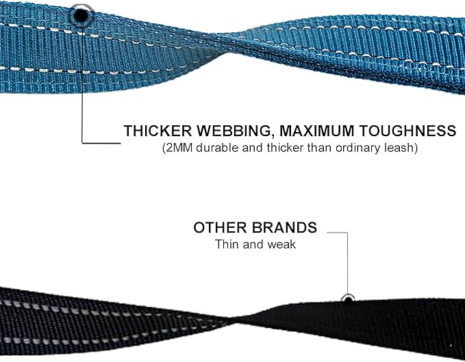 Dual Padded Handle Walking and Training Standard Leashes for Large Dogs with Reflective Stitching, 360° Rotatable Heavy Duty Metal Buckle, D-Ring, Durable Nylon, 6Ft Long 1" Wide