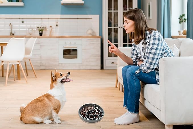 Slow Feeder Dog Bowls,Fun Dog Feeding Bowls with Suction Cups, Anti-Choking, Non-Slip Design, Reduces Boredom, Anxiety,Overeating, Ideal for Medium to Small Dogs & Cats (Grey)