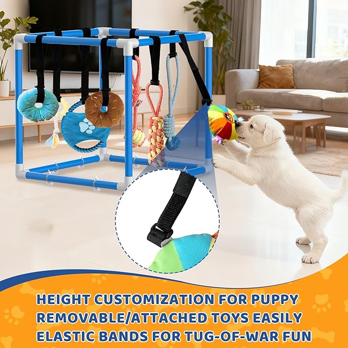 Puppy Play Gym with 8 Hanging Toys Interactive Puppy Toys for Small Breed Indoor Play Gym for Boredom Enrichment Activity Teething PVC Frame Stretchy Rope with Velcro (Blue)