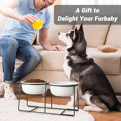 Ceramic Elevated Dog Bowl Set - Raised Double Feeding Bowls with Metal Stand - Pet Dishes for Medium and Large Dogs - 3.5 Cups - 54 fl oz - Matte White