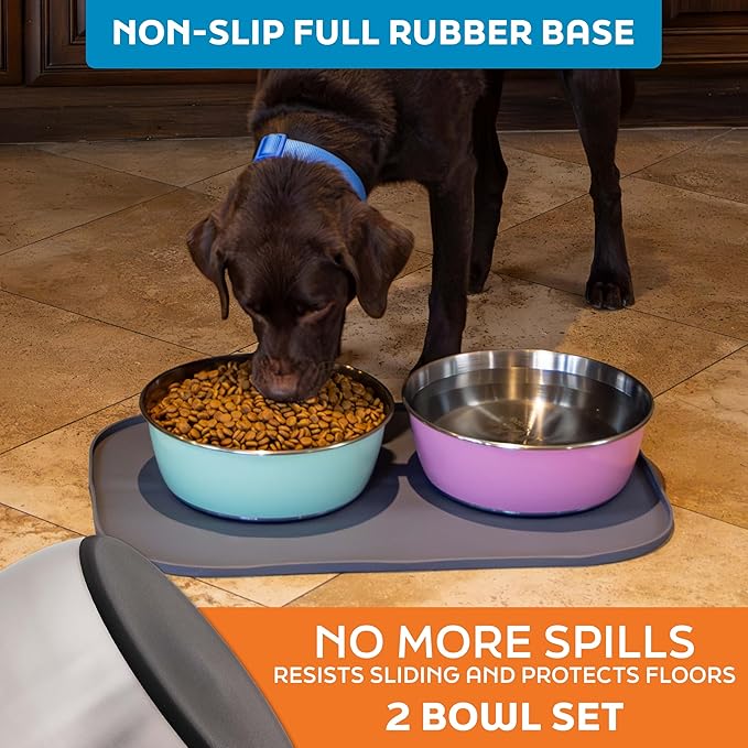 Master Pet Supply Stainless Steel Dog Bowls Set of 2 (128 Oz Each) with Non-Slip Rubber Base - Stainless Steel - Basic Dog Food Bowl Water & Food Bowls for Small Medium Large Dogs & Cats, Metal Dish