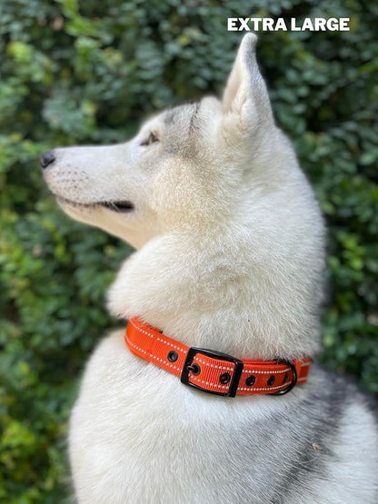 Tuff Pupper Heavy Duty Dog Collar with Handle | Ballistic Nylon Heavy Duty Collar | Padded Reflective Dog Collar with Adjustable Stainless Steel Hardware | Convenient Sizing for All Breeds