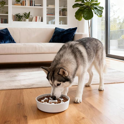Ceramic Slow Feeder Dog Bowls, Ceramic Slow Feeder Maze Dog Food Bowl, Slow Eating Dog Bowl and Slow Feeder Dog Bowl Anti-Choking for Daily Pet Feeding （White Bone）